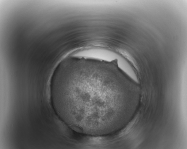 X0000088731031200706071636