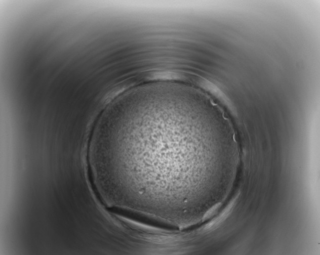 X0000088731033200706071636