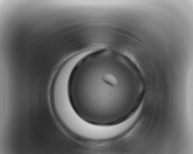 X0000088731034200706071636