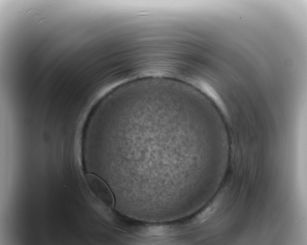 X0000088731035200706071636