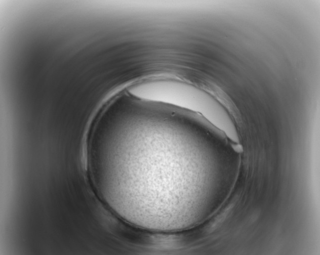 X0000088731036200706071636