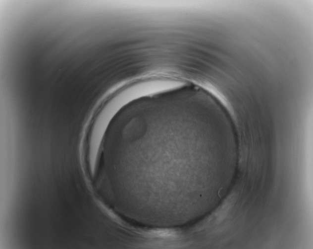 X0000088731037200706071636