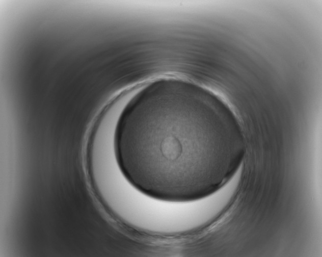 X0000088731038200706071636