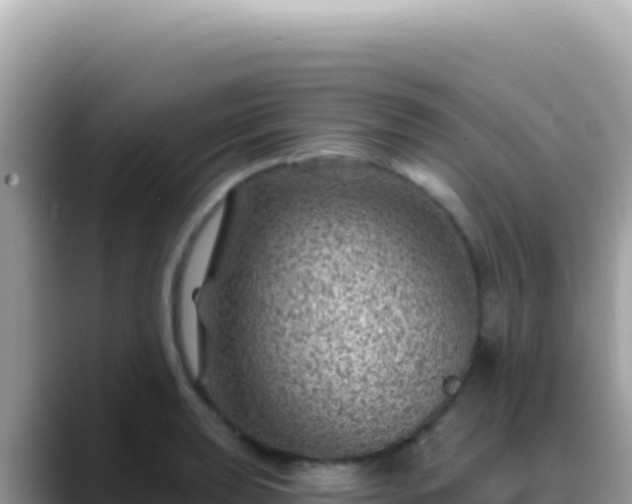 X0000088731039200706071636