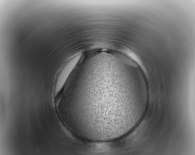 X0000088731041200706071636