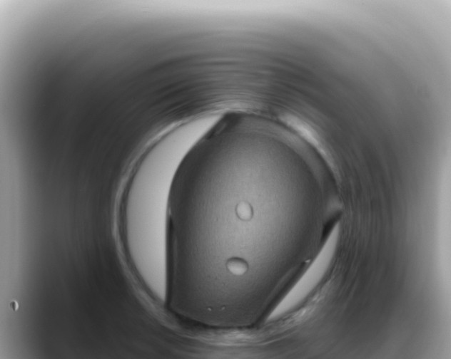X0000088731042200706071636