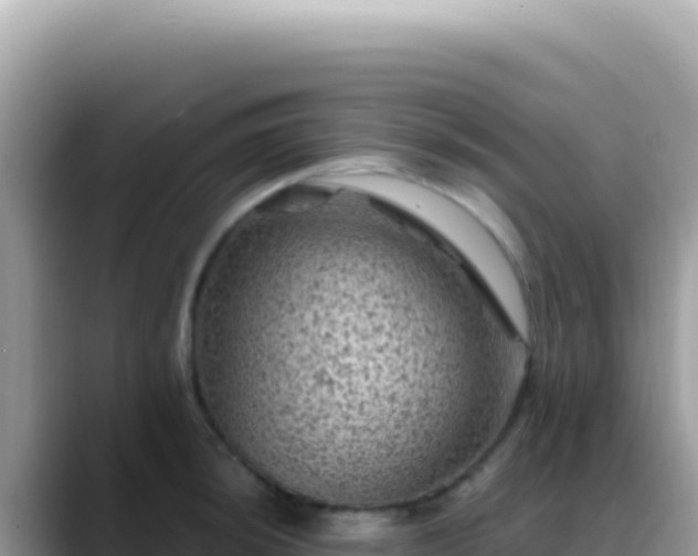 X0000088731044200706071636
