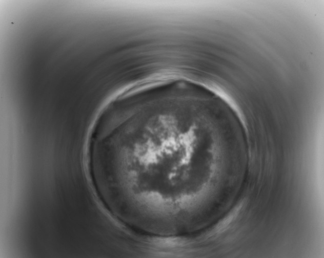 X0000088731045200706071636