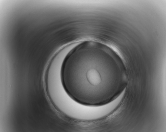 X0000088731046200706071636