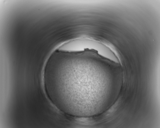 X0000088731048200706071636