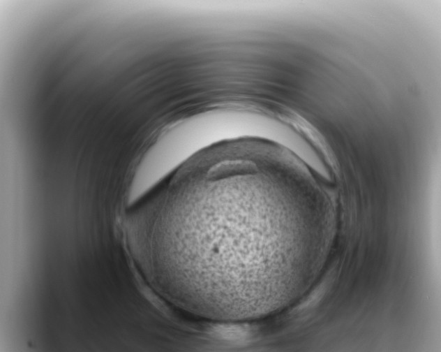X0000088731049200706071636