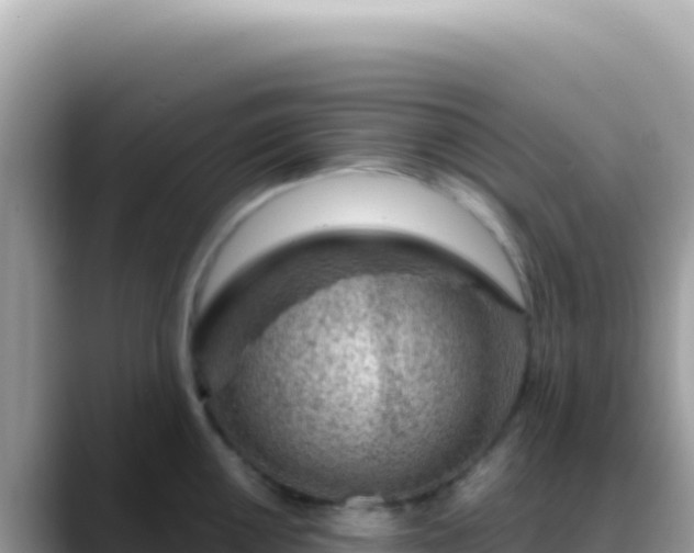 X0000088731050200706071636