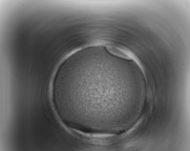 X0000088731053200706071636