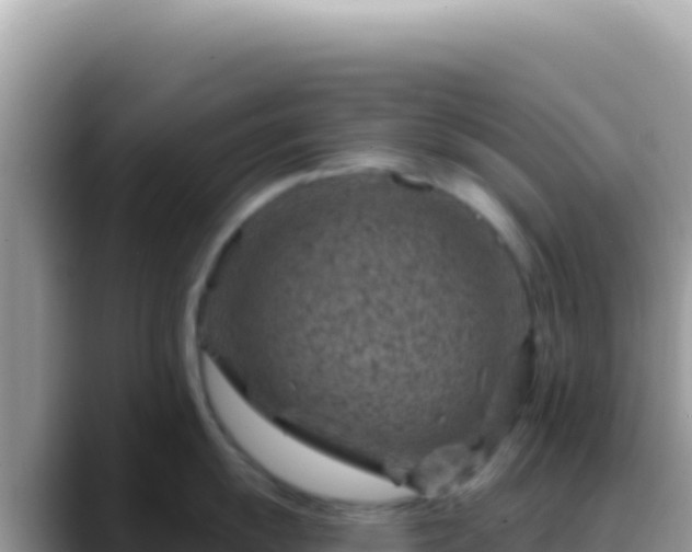X0000088731055200706071636