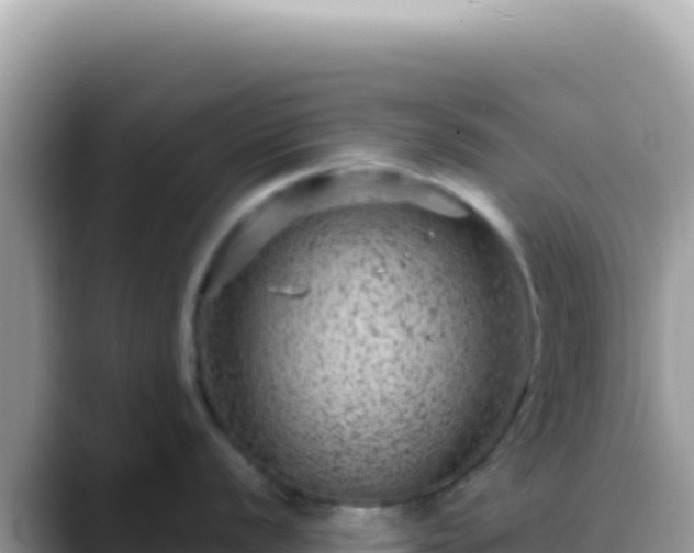 X0000088731056200706071636