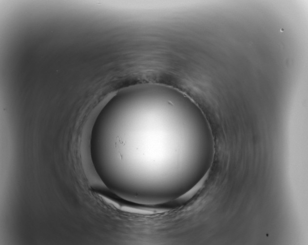 X0000088731057200706071635