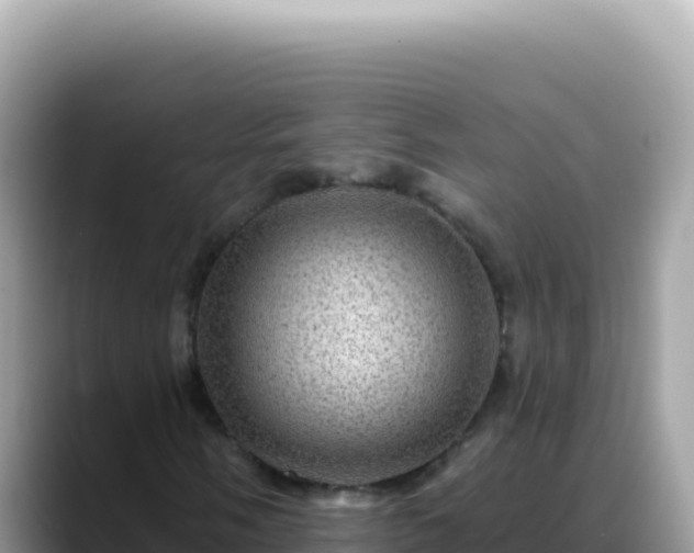 X0000088731058200706071635