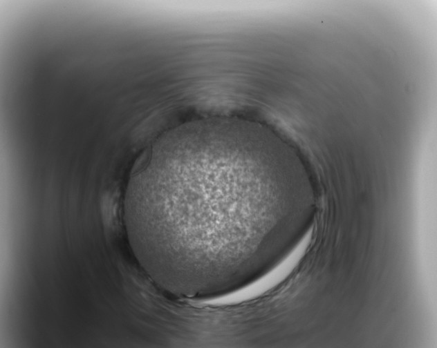 X0000088731059200706071635