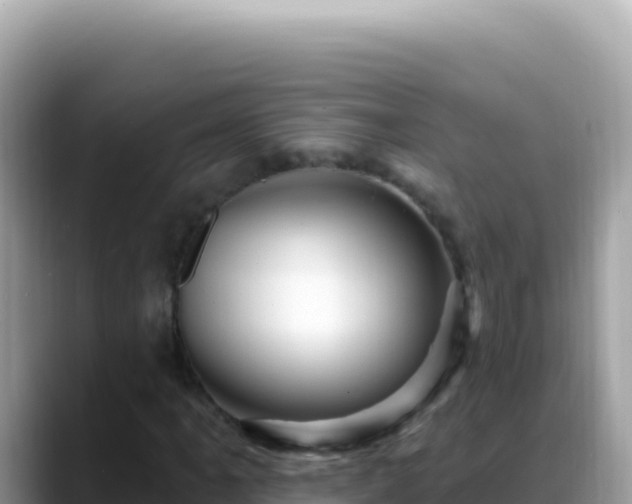 X0000088731061200706071635
