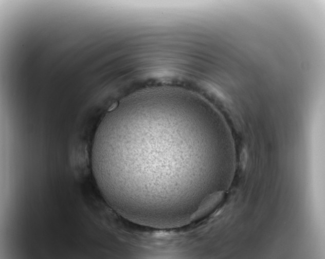 X0000088731062200706071635