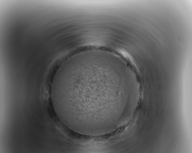X0000088731064200706071635