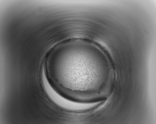 X0000088731065200706071635