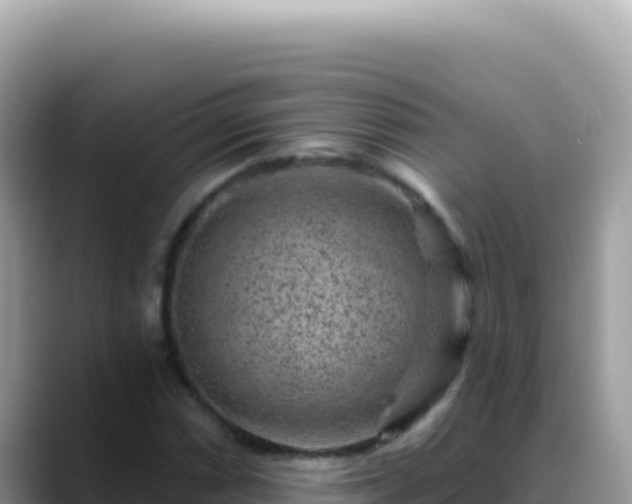 X0000088731066200706071635