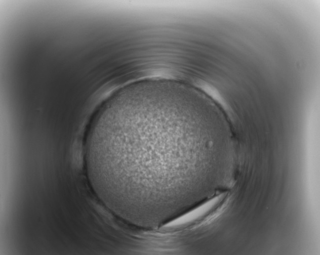X0000088731067200706071635