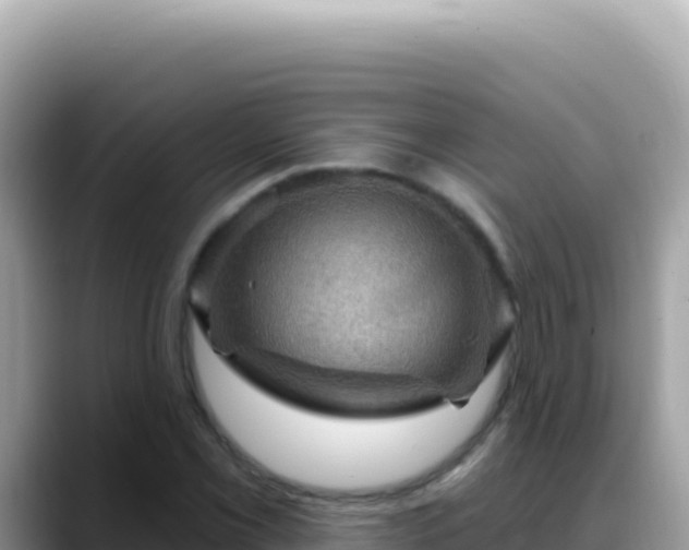 X0000088731069200706071635