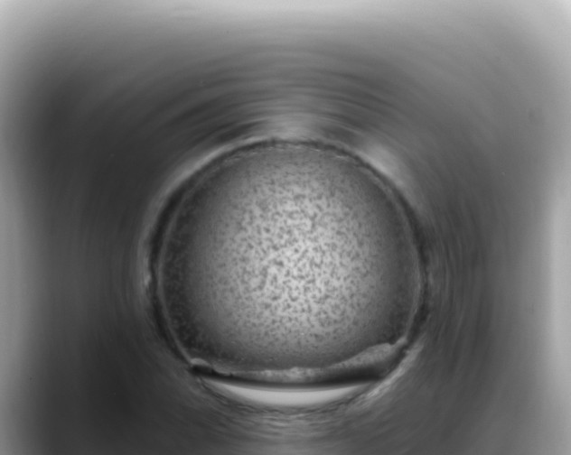 X0000088731070200706071635