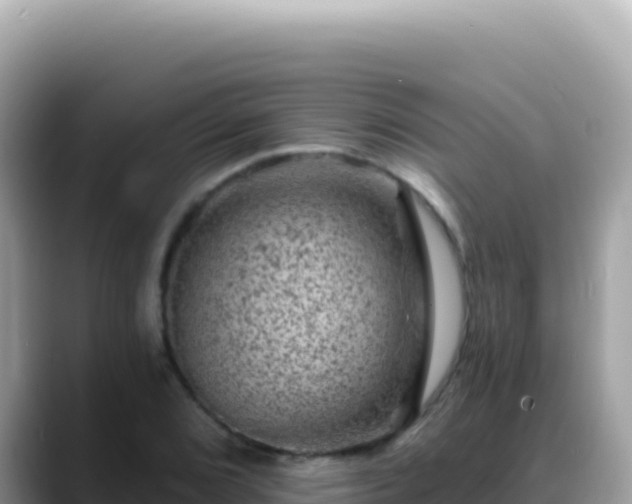 X0000088731072200706071635