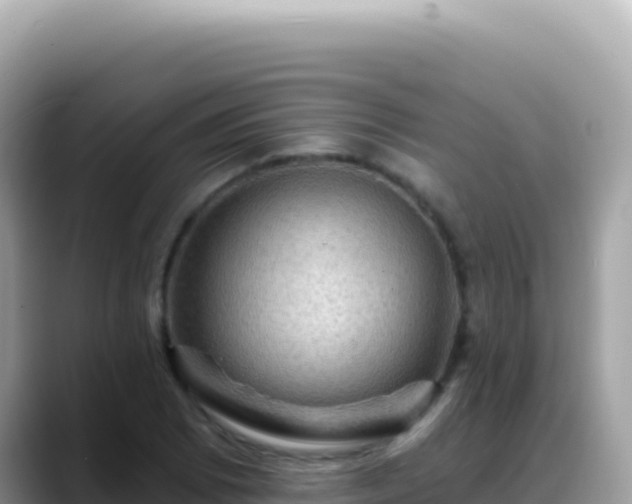 X0000088731073200706071635