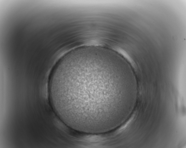 X0000088731075200706071635