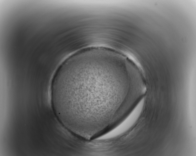 X0000088731076200706071635