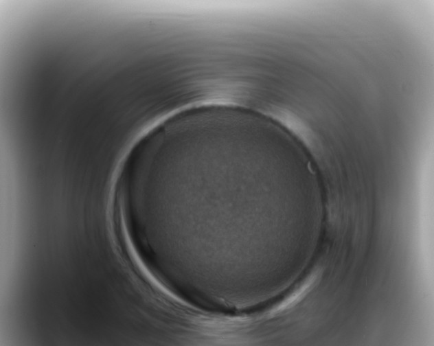 X0000088731077200706071635