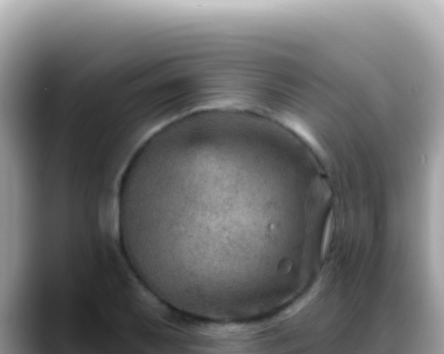 X0000088731079200706071635