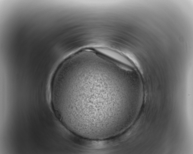 X0000088731080200706071635
