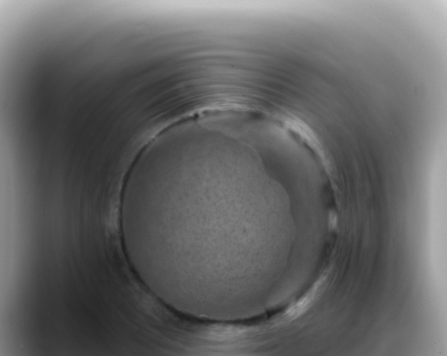 X0000088731081200706071635