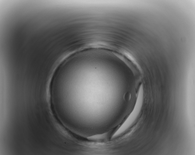 X0000088731082200706071635