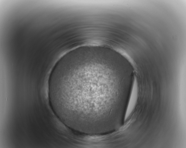 X0000088731083200706071635