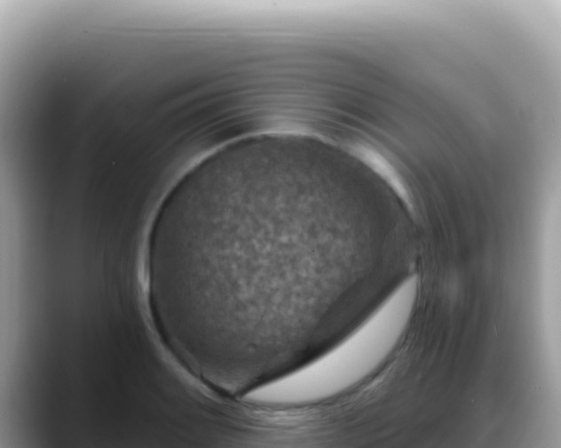 X0000088731084200706071635