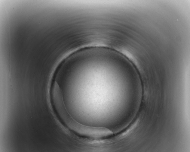 X0000088731085200706071635