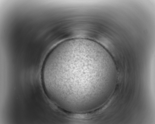 X0000088731086200706071635