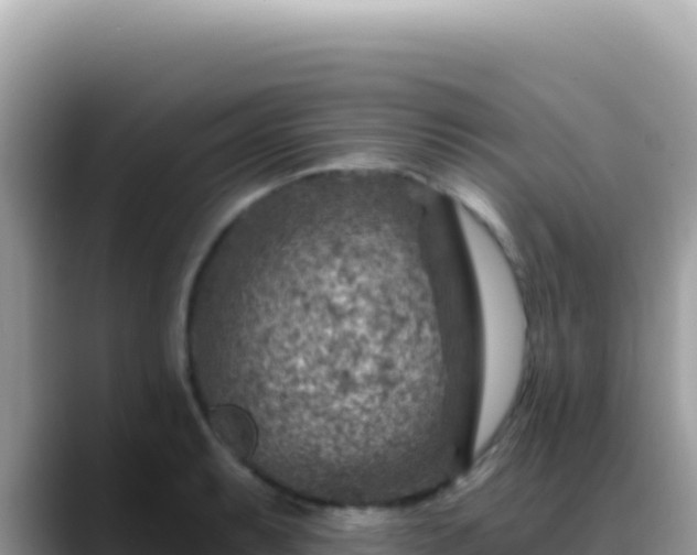 X0000088731087200706071635