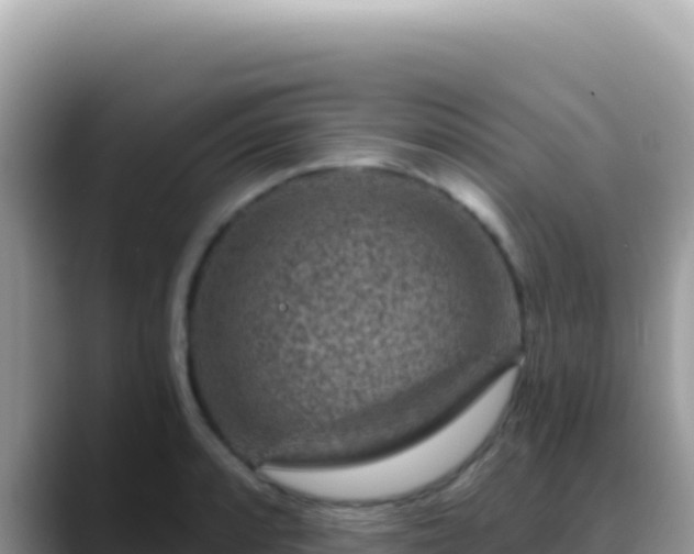 X0000088731088200706071635