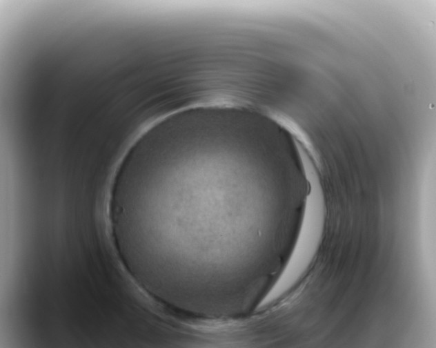 X0000088731091200706071635