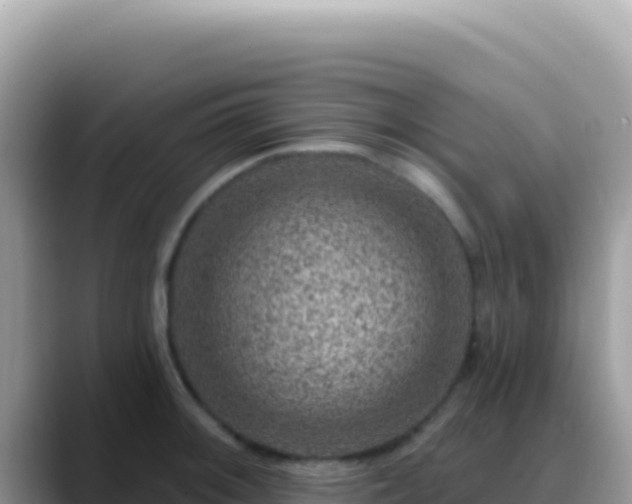 X0000088731092200706071635