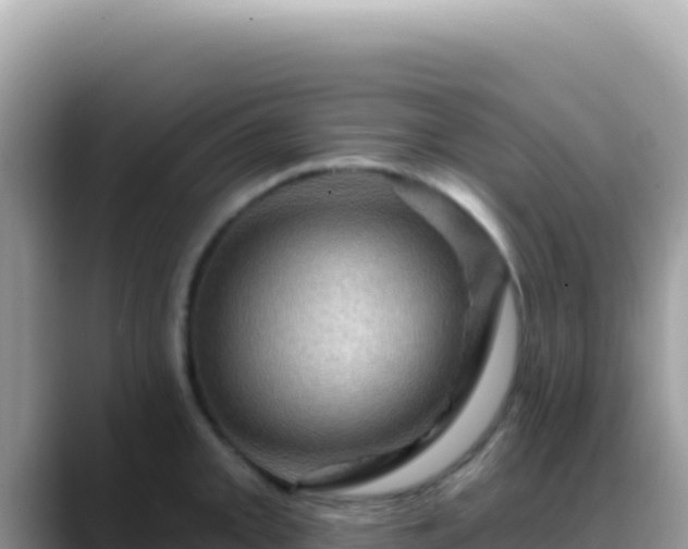 X0000088731093200706071635