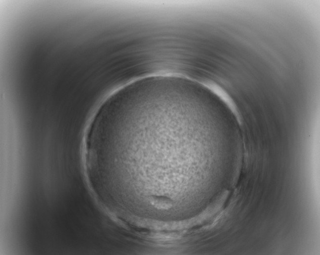X0000088731096200706071635