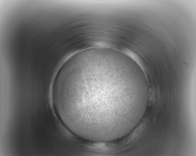 X0000088731098200706071635